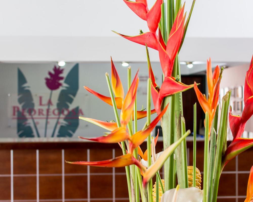 Hotel La Pedregosa Merida Ngoại thất bức ảnh